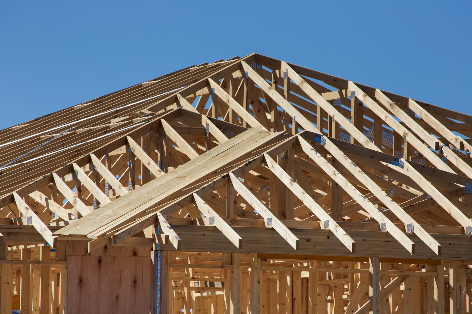 Exposed wooden roof framing during new home construction; complete roof replacement or new roof installation.